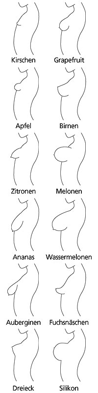 Grafiken von verschiedenen Brustformen